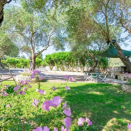 Captain Alex 1 Dafnila