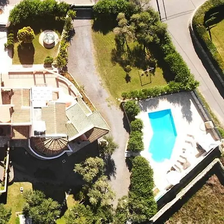 Captain Alex 1 * Dafnila